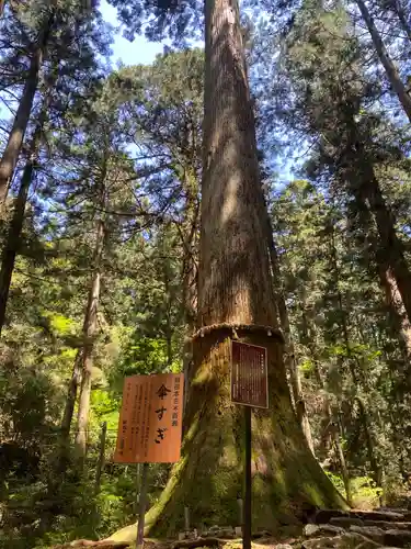 鳳来山東照宮(愛知県)