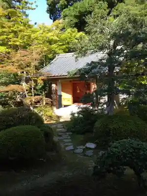 隨心院(随心院)(京都府)