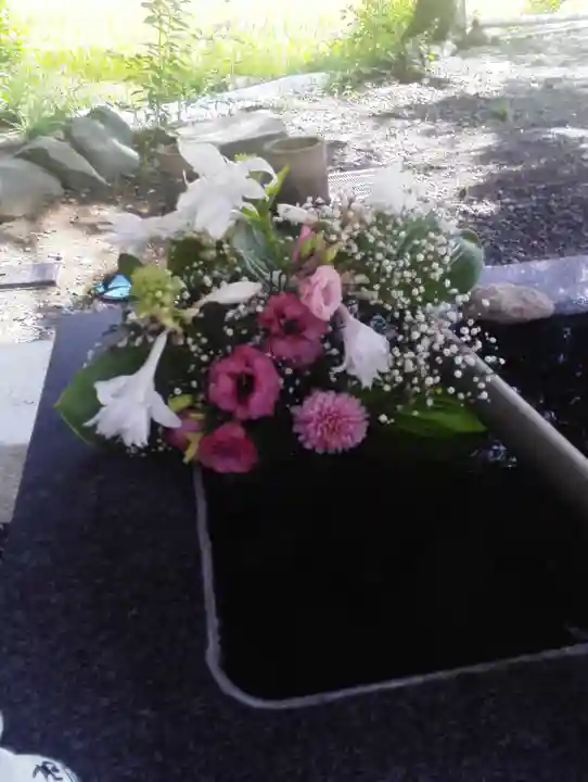 高司神社〜むすびの神の鎮まる社〜の手水舎