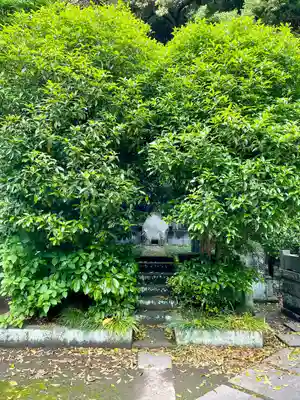 妙本寺(神奈川県)