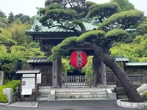 長谷寺の山門