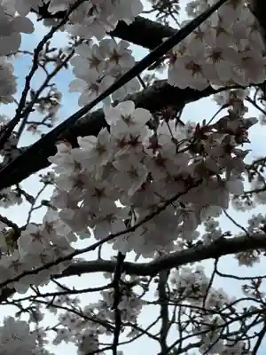 徳島眉山天神社(徳島県)