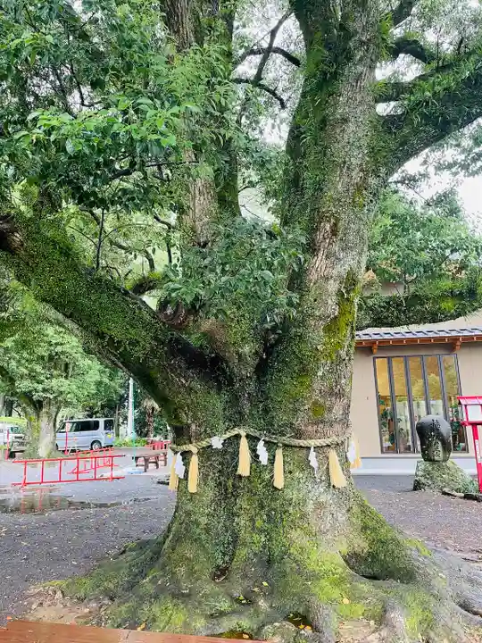 橘神社(長崎県)