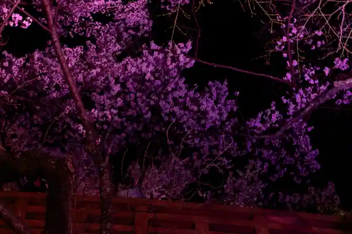新城藤原神社(長野県)