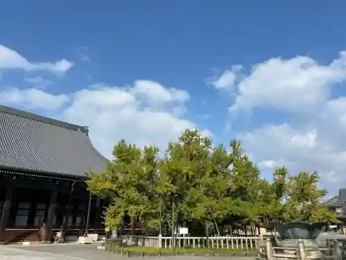 本願寺（西本願寺）(京都府)