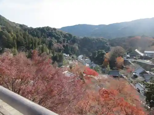 長谷寺(奈良県)