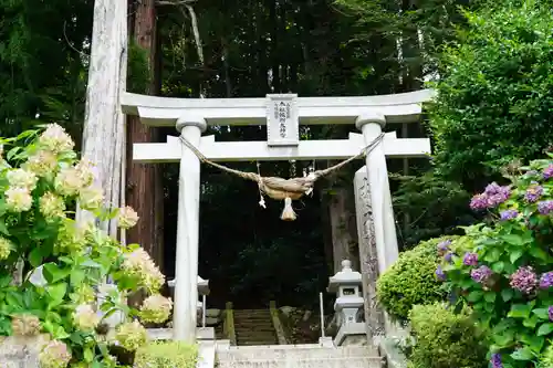 帳附神社の鳥居