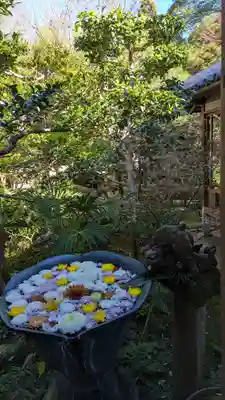 法然院(京都府)