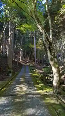 古知谷阿弥陀寺(京都府)