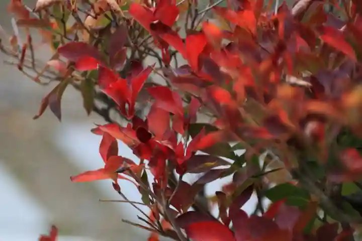御嶽山神社の庭園
