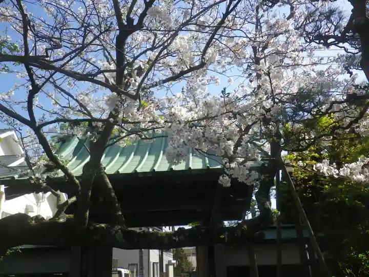 教恩寺の山門・神門