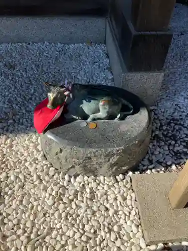 赤羽八幡神社(東京都)