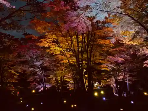 土津神社｜こどもと出世の神さまの庭園