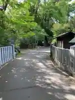 柴崎神社(千葉県)