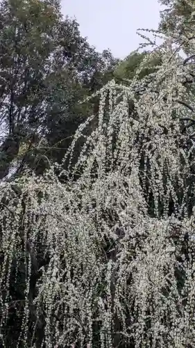 城南宮(京都府)