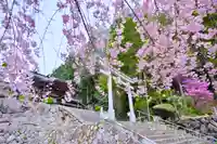 夫婦木神社(山梨県)