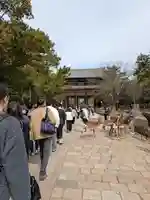 東大寺(奈良県)