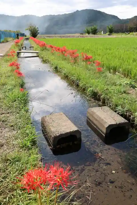 九万八千神社(埼玉県)