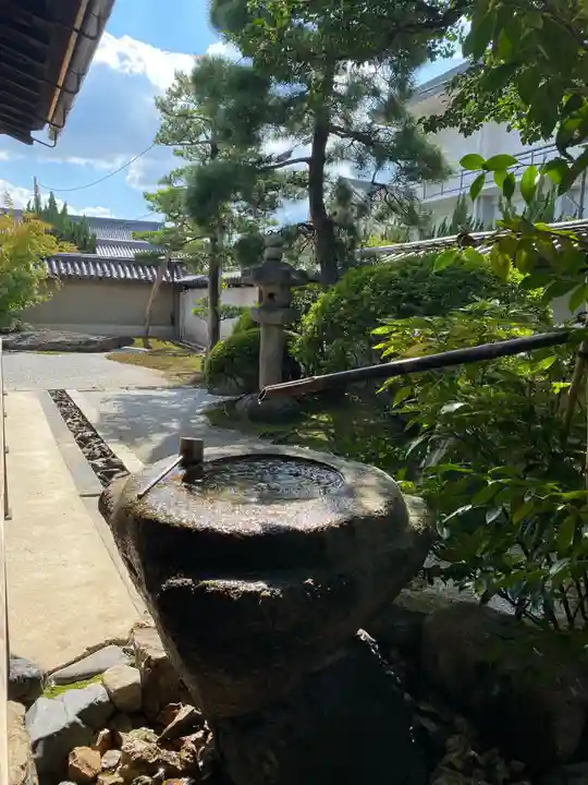 観智院(東寺子院)の庭園