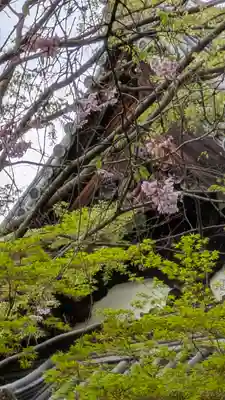 宝積寺(京都府)