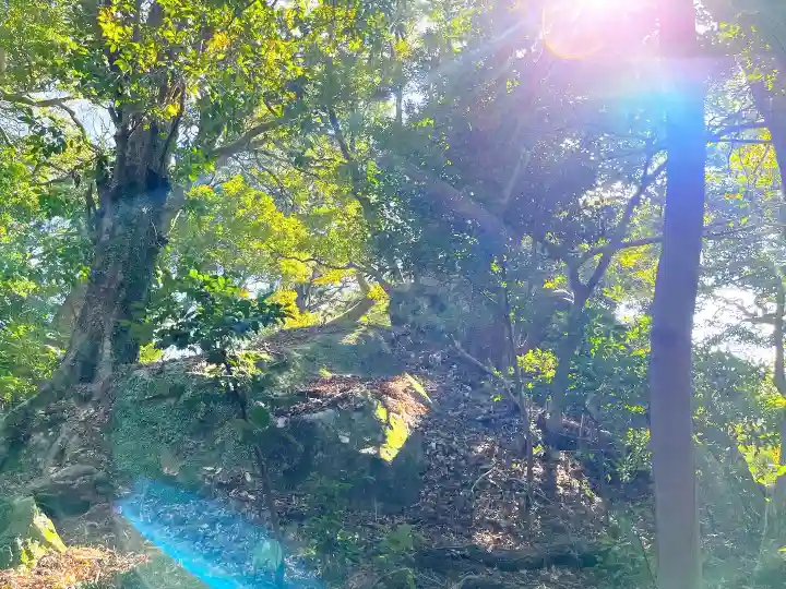 阿波々神社(静岡県)