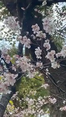 熱田神宮の{uncategorized: "未分類", other: "その他", undefined: "問題あり", building: "その他建物", grave: "お墓", sacred_gate: "鳥居", guardian: "狛犬", statue: "像", buddha: "仏像", history: "歴史", nature: "自然", garden: "庭園", animal: "動物", pagoda: "塔", temizu: "手水舎", mountain_gate: "山門・神門", sanctuary: "本殿・本堂", subordinate: "末社・摂社", art: "芸術", scenery: "景色", jizo: "地蔵", ema: "絵馬", goshuin: "御朱印", omikuji: "おみくじ", items: "授与品その他", amulet: "お守り", goshuincho: "御朱印帳", eats: "食事", festival: "お祭り", votive_dance: "神楽", shichigosan: "七五三参", wedding: "結婚式", experience: "体験その他", initially: "初詣", around: "周辺", anti_infection: "感染症対策"}