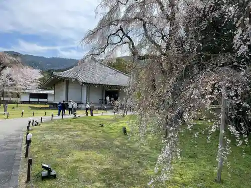 宝聚院(京都府)
