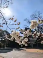 福蔵院(東京都)