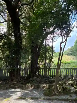 山宮浅間神社(静岡県)