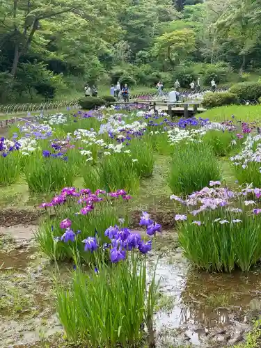 明治神宮(東京都)