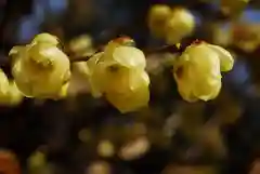 清水寺の自然