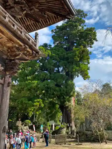 筑波山神社の自然