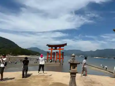 厳島神社の{uncategorized: "未分類", other: "その他", undefined: "問題あり", building: "その他建物", grave: "お墓", sacred_gate: "鳥居", guardian: "狛犬", statue: "像", buddha: "仏像", history: "歴史", nature: "自然", garden: "庭園", animal: "動物", pagoda: "塔", temizu: "手水舎", mountain_gate: "山門・神門", sanctuary: "本殿・本堂", subordinate: "末社・摂社", art: "芸術", scenery: "景色", jizo: "地蔵", ema: "絵馬", goshuin: "御朱印", omikuji: "おみくじ", items: "授与品その他", amulet: "お守り", goshuincho: "御朱印帳", eats: "食事", festival: "お祭り", votive_dance: "神楽", shichigosan: "七五三参", wedding: "結婚式", experience: "体験その他", initially: "初詣", around: "周辺", anti_infection: "感染症対策"}