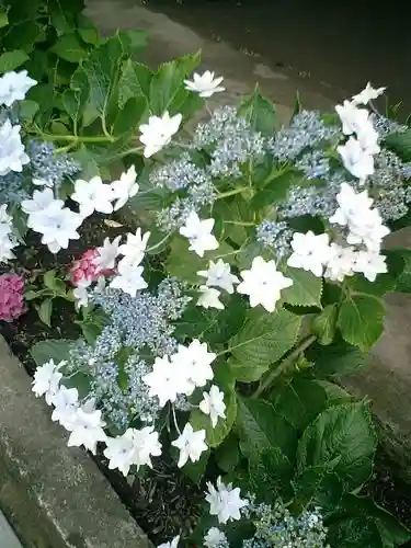 御霊神社の自然