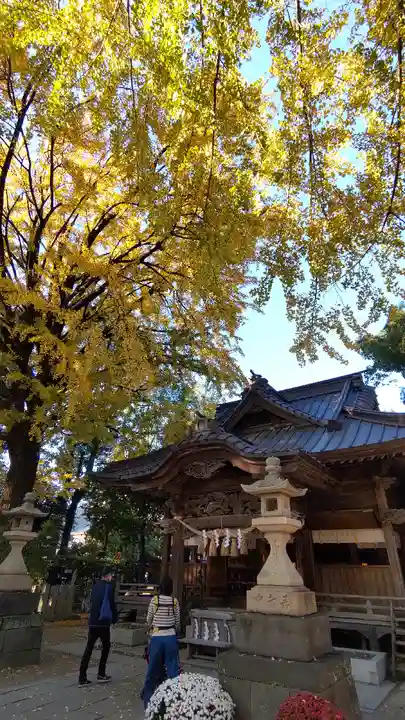 田無神社の本殿・本堂
