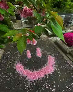 普賢寺(東京都)(2022年04月26日(火) 20時55分08秒投稿)