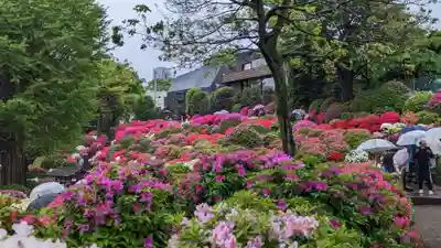 根津神社(東京都)