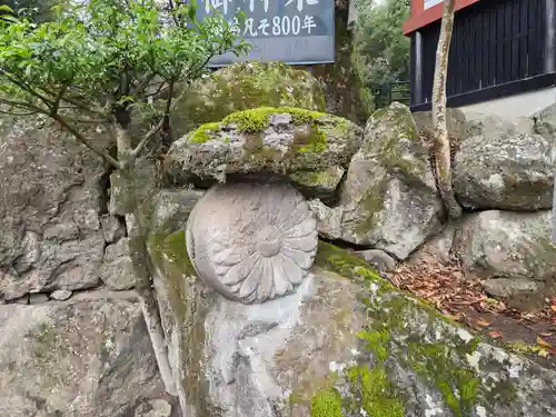 鹿児島神宮(鹿児島県)