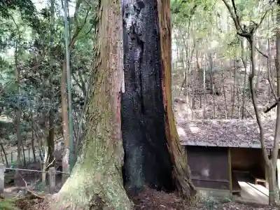 首塚大明神(京都府)