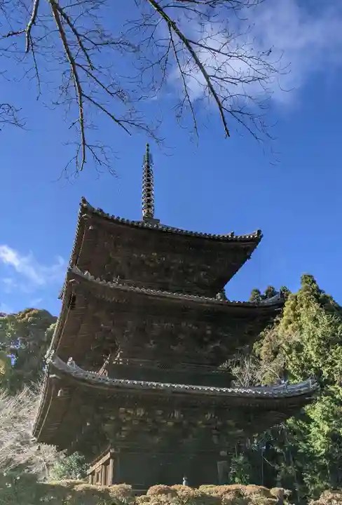 園城寺(三井寺)(滋賀県)