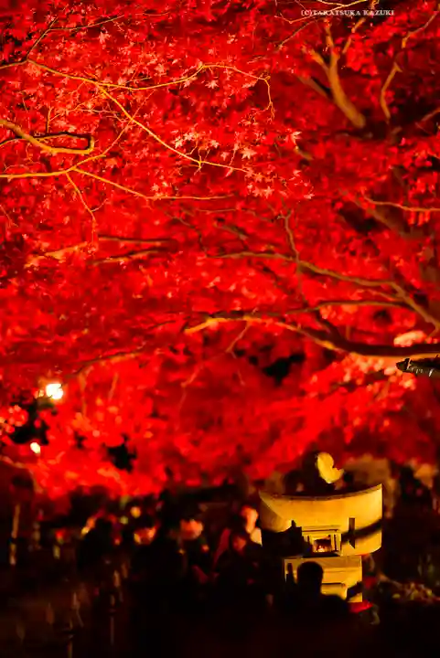 大山寺(神奈川県)