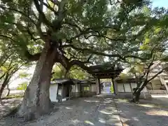 白毫寺(愛知県)