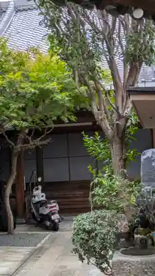 安楽寺(大阪府)