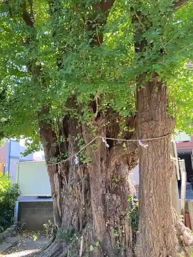 松尾大神(神奈川県)