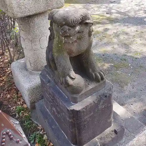 高野胡録神社の狛犬