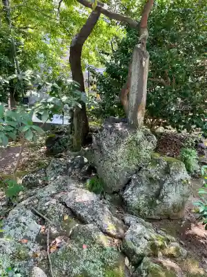 芝岡神社(静岡県)