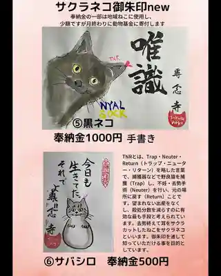 専念寺(大阪府)