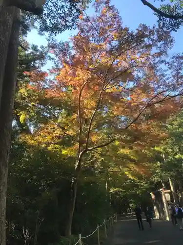 伊勢神宮外宮（豊受大神宮）(三重県)