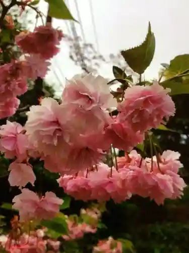 福蔵院(東京都)