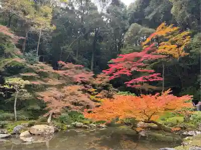 南禅院(京都府)